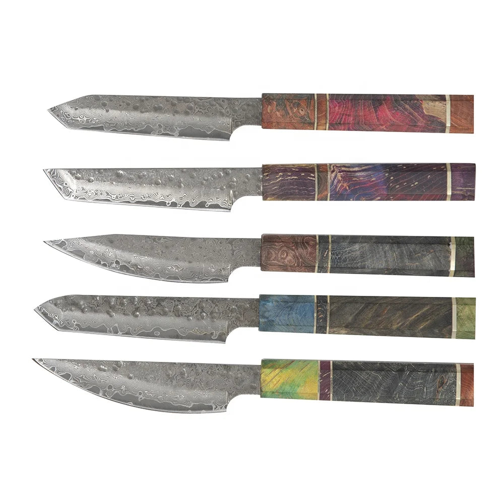 Hot Sale Professional Chef Damascus Fruit Knife High-End Custom Metal Knife From Factory