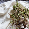 Wild Thymus Quinquecostatus Dried Whole Grass Stem Leaves for Sale