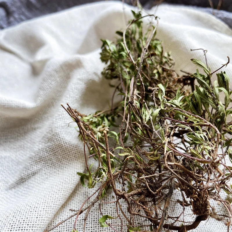 Wild Thymus Quinquecostatus Dried Whole Grass Stem Leaves for Sale
