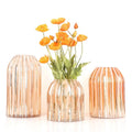 European-style Glass Vase Tulip Peony Hydroponic Flower Arrangement Wholesale Home Living Room Glass Vase