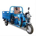1200W Steel Cargo Tricycle with Cabin Electric Scooter for Express Truck Promotion Sales