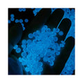 500g New Cute Luminous Mini Fishbowl Beads Resin Slime Charms Jewelry Making Hairwear Accessories Flatback Cabochon Figurine