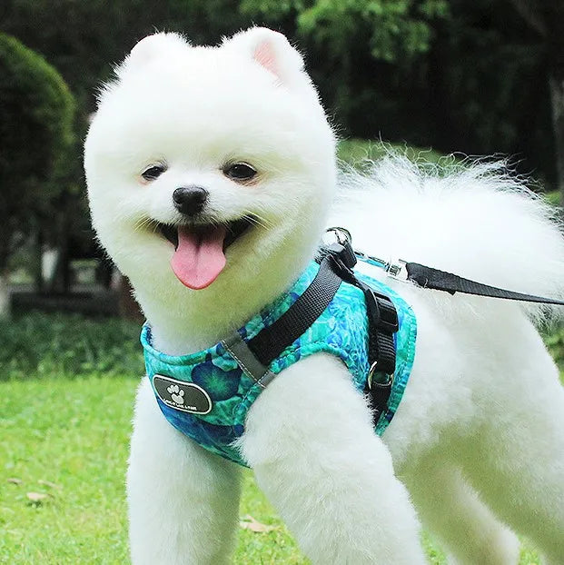 Wholesale NEW Ocean Shark New Small Dog Harness and Leash