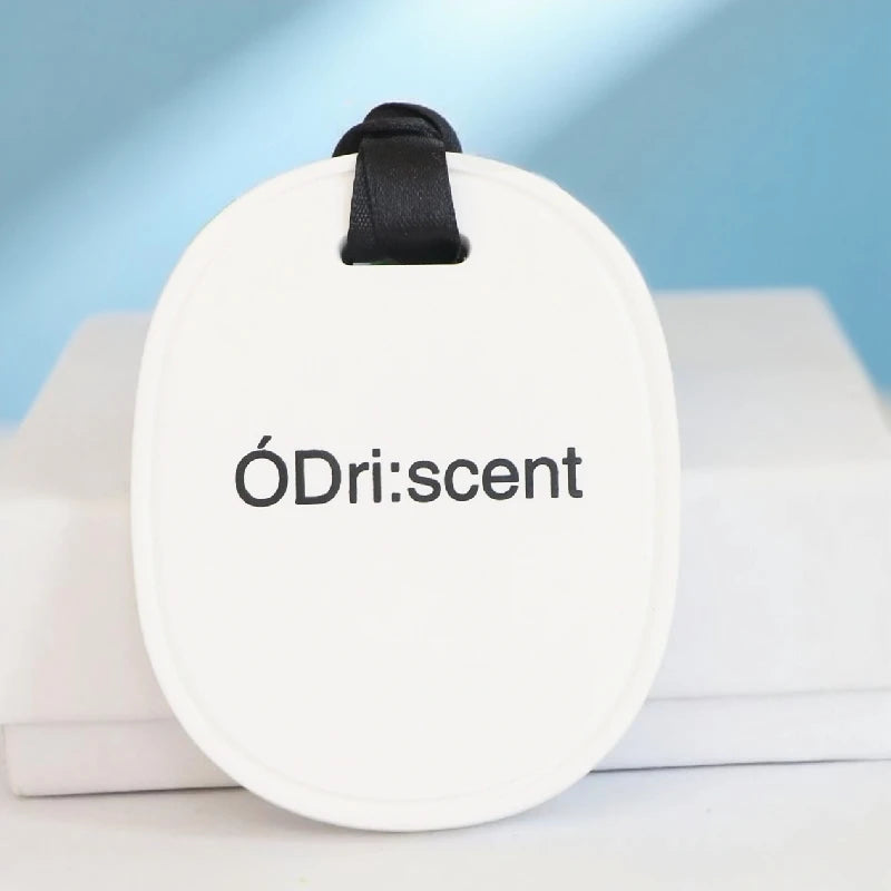Hot Sale Customized Logo Ceramic Scented Gypsum Stone Car Fragrance Essential Oil Diffuser Hanging Air Freshener