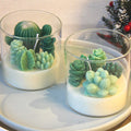 New Design Succulent Potted Soy Wax Glass Jar Scented Candles