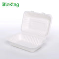 BioKing Brand New Disposable Box 9x6 Inch Food Lunch 100% Biodegradable Tableware Bagasse Container Food Paper Boxes