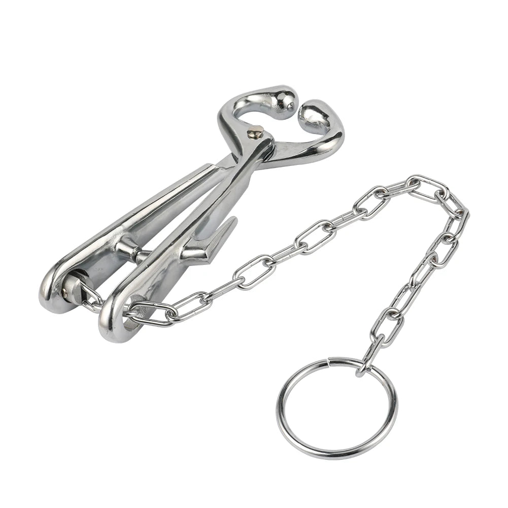 Farm Cattle Livestock Tool Stainless Steel Cow Nose Ring Pliers Bull Cattle Bovine With Chain Pulling Tool