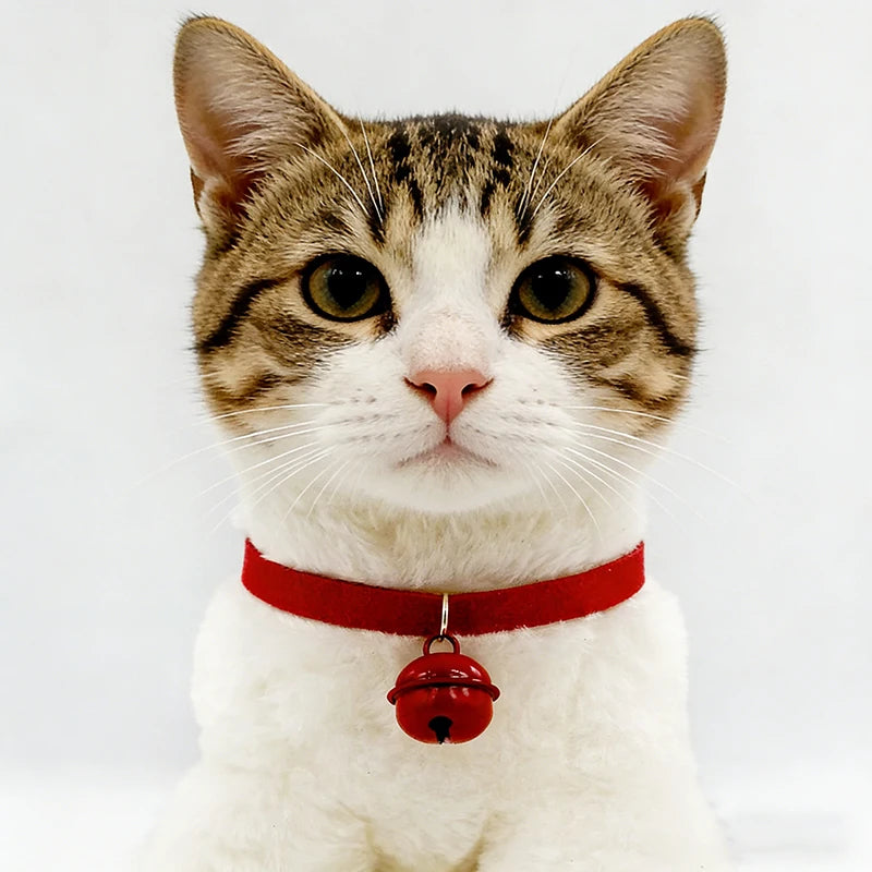 Personalized Cat & Kitten Collar with Bell Adjustable Puppy & Chihuahua Pet Leash Quality Supply for Cat Dog Leashes