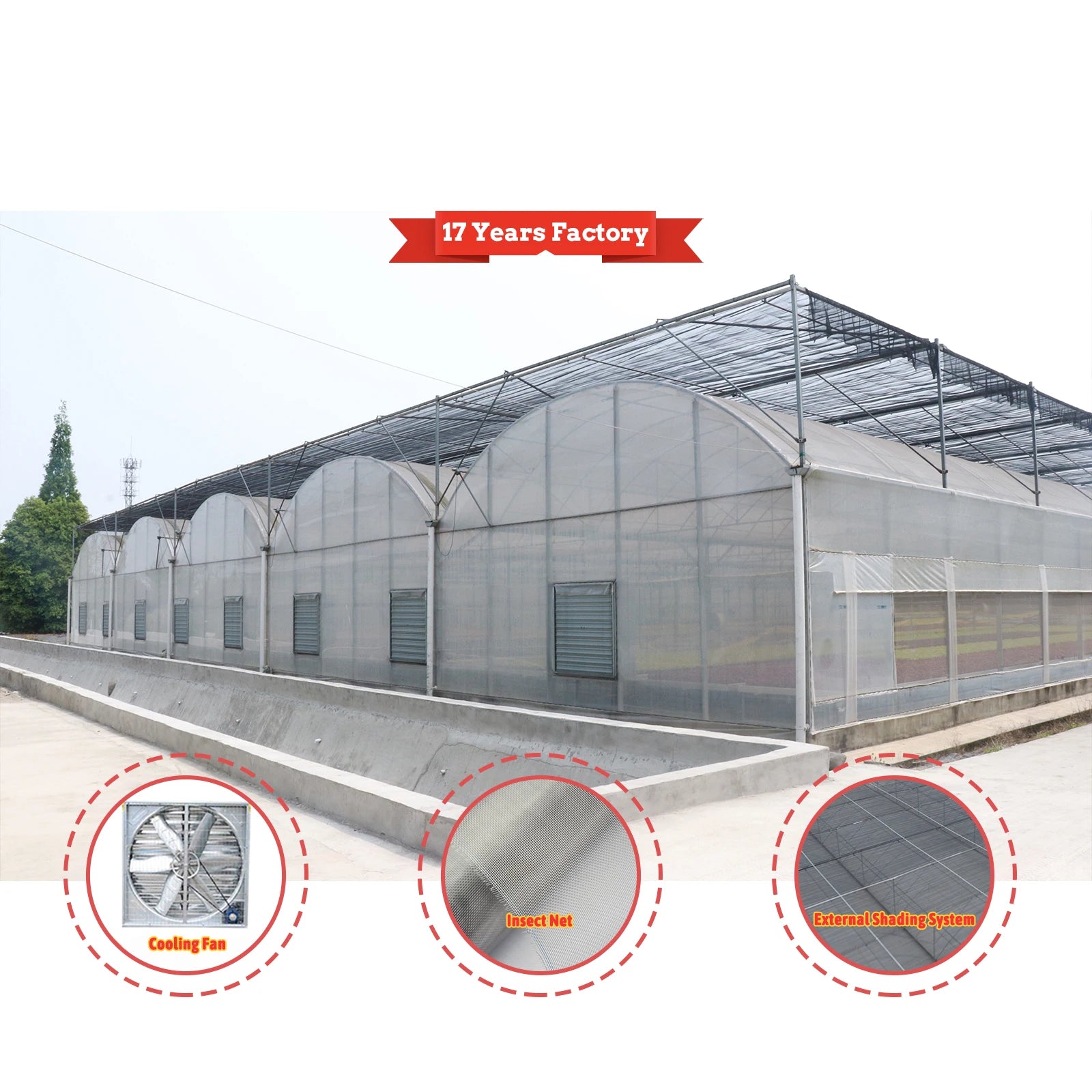 Large Double Layer PE Multispan Agricultural Greenhouse Sprinkler Irrigation Tunnel Side Vent Round Arch with Rolling Bench