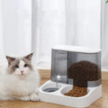 Pet Automatic Feeder Water Fountain Dog Cat Bowl Colorful Detachable Transparent Storage Bucket With Bottle