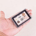 6 PCS Mini Natural Marine Animal Fossil Specimen Educational Toys Science Kit for Kids