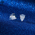 RINNTIN LZE02 2023 925 Sterling Women 8A Premium Cubic Zircon Stud Lab Grown Diamond Earring Fine Jewelry Silver Earrings
