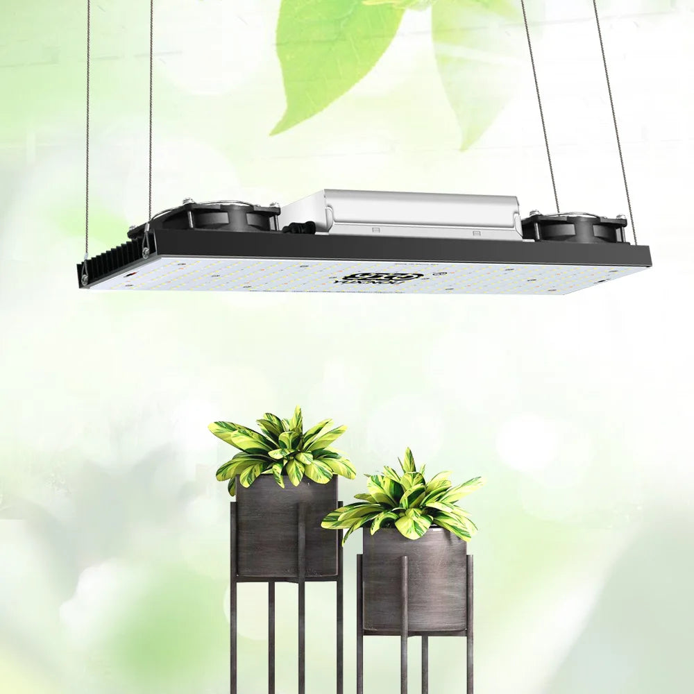 Spain Polish Stock Free Assembly Lm301h 200 Watt Led Grow Light Board Lm301H High Ppfd Led Grow Light