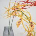 X011 Single European Artificial Thousand Birds Orchid New Arrangement and Spider Orchid for Wedding Decoration Wholesale