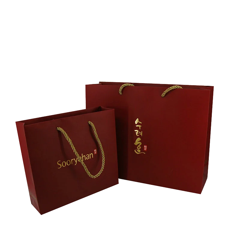 Custom Color Offset Printed Brand Logo Design Promotion Luxury Clothing Retail Gift Shopping Bag Recyclable Cardboard Kraft Bag