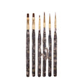 Guangzhou Baowang Flower Series Nail Art Brush UV Gel Polish Customizable Logo Sample OEM/ODM Supply Made Nylon Resin Easy Apply