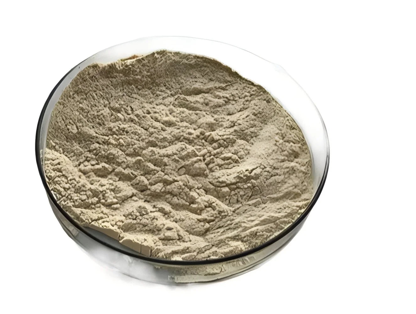 High Quality Affordable Manufactory Price Lower Calories Extract Monk Fruit Powder for Nature Sweeteners