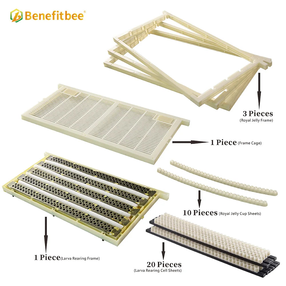 Benefitbee Queen Rearing Kit No Graft Beekeeping Tools Queen Bee Rearing System