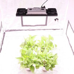 YXO EU RU Stock DIY Module 200W Growing Lamp Indoor Plant LED Grow Light Hydroponics Plant Growth Lights