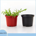 Large Transplant Indoor Seedling Potted Plants Gallon Pot Plastic Nursery Tray Garden Flowerpots Plant Flower Pots
