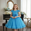 Elegant and Fluffy blue Children's Princess Dress Flower Girl Party Dresses Shining Beads Birthday Dress Child Girl for 3Y