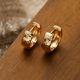 European American INS Design Sense Niche High-End Elegant Hoop Earrings Light Luxury Gold-Plated Geometric Small Trendy Gift
