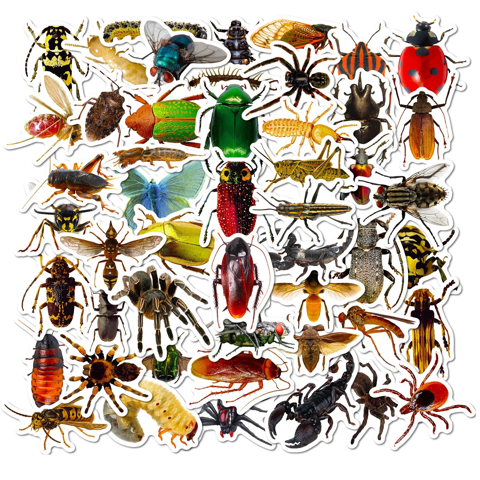 50Pcs  Cool Insect Decorative Graffiti Sticker for Children Home Fridge Luggage Laptop Phone Diy Vinyl PVC Stickers