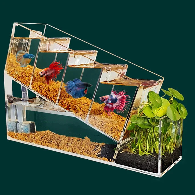 NEW Self-Circulating Filtration&Betta Fish Tank Acrylic Material Sick Fish Isolation Mini Desktop Aquarium Goldfish Fish Tank