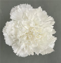 Wholesale Mother's Day Graduation Christmas Flower Arrangement 4-5CM Real Touch Preserved Carnation Flowers Head for Wall