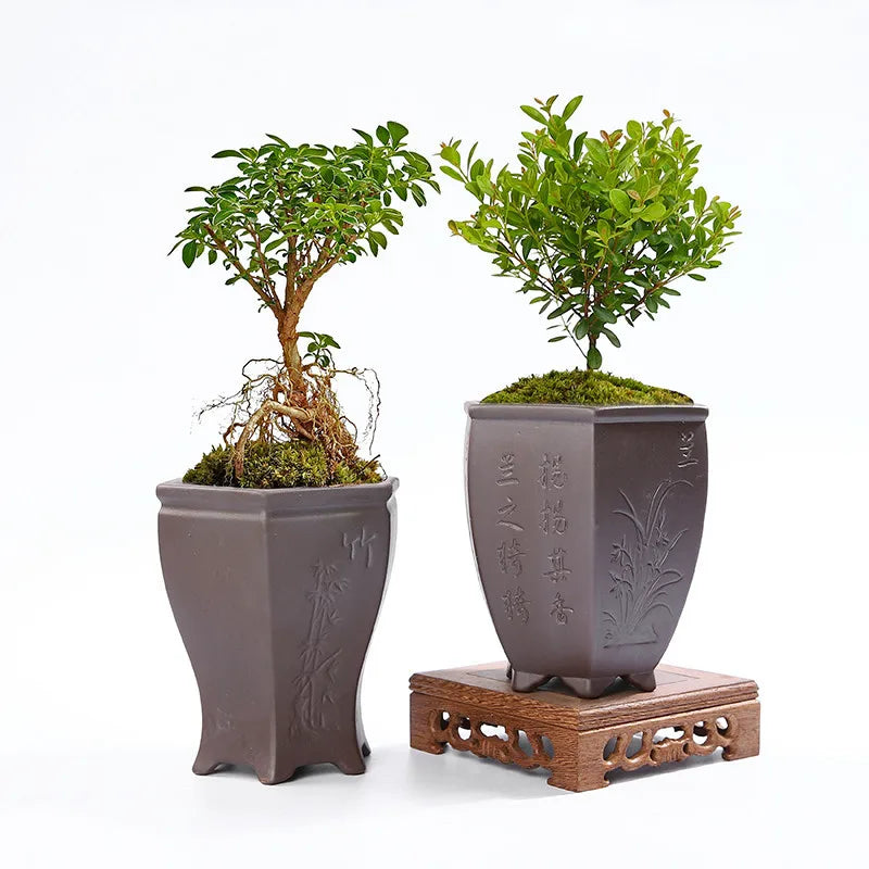 New Trendy Green Planting Orchid Bonsai Succulent Planter Pot Large Ceramic Container Retro Purple Sand Flowerpot