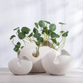 Modern Creative Ceramic Non-hole Hydroponic Tabletop Vase Eco-Friendly for Decoration