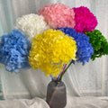 Ins Popular Release Green Preserved Big Leaf Hydrangeas Preserved Hydrangea Flowers for Wedding Decoration MegaBDM