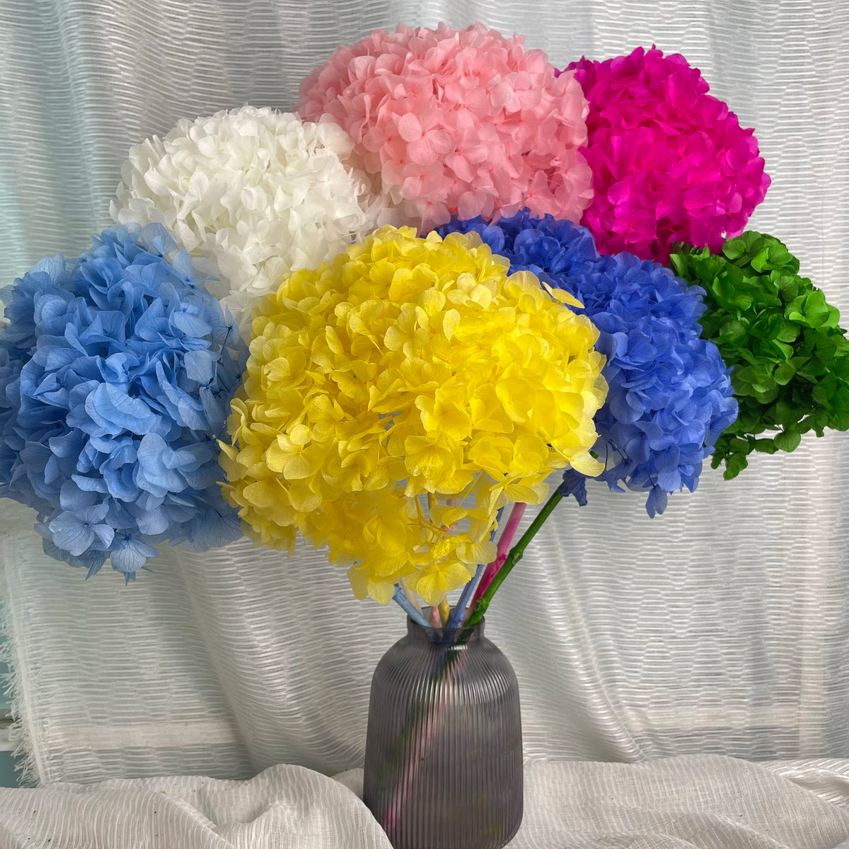 Ins Popular Release Green Preserved Big Leaf Hydrangeas Preserved Hydrangea Flowers for Wedding Decoration MegaBDM