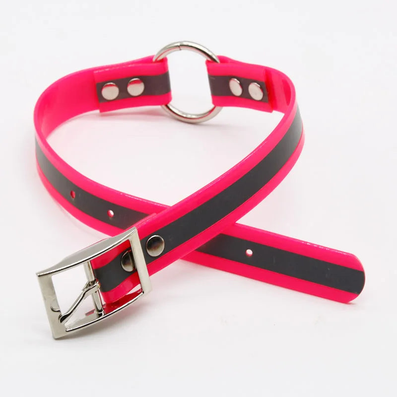Customizable Reflective Dog Collar Coated Nylon Webbing O Ring Large Size Lights with Durable TPU Available 8 Different Colors