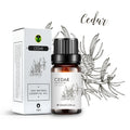 Cedarwood Essential Oil Fragrance for Aromatic Diffuser - 100% Pure Natural Cedrus Deodara Wood Steam Distilled | 10ML