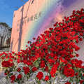 C234 Black Rose Red Rose Waterfall Freud Shopping Mall Internet Celebrity Punch Card Flower Wall Layout Artificial Flowers