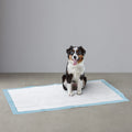 Pet Pee Pad Organic Disposable Super Absorbent Unscented Quilted Underpad