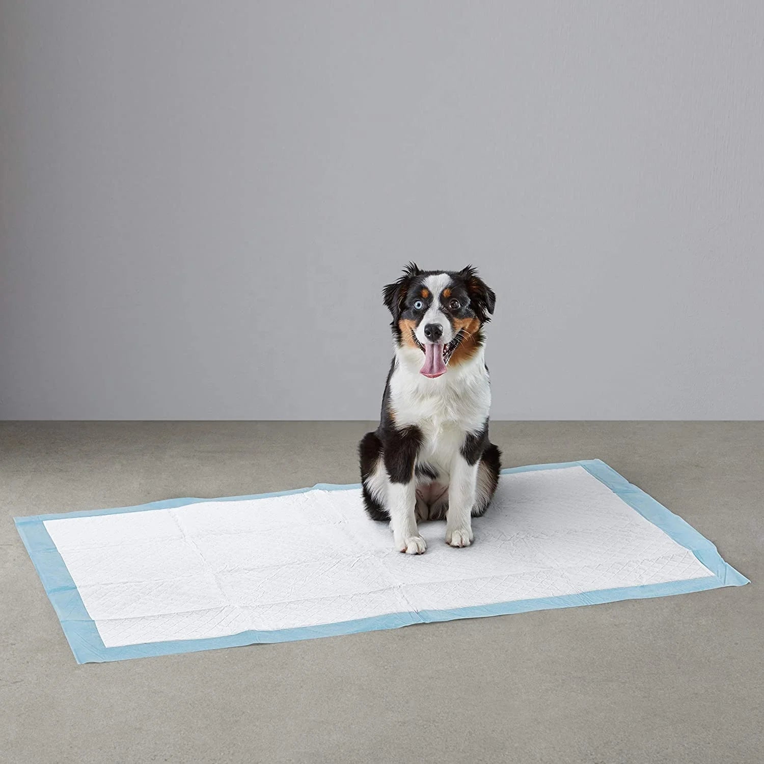 Pet Pee Pad Organic Disposable Super Absorbent Unscented Quilted Underpad