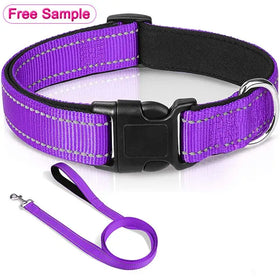High Reflective Nylon Webbing Pet Dog Collar Leash Set Custom Adjustable Stylish OEM Design Luxury Style Free Sample Low MOQ