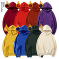 600G Morandi Colour Thick Fleece 100% Cotton Hooded Pullover Winter Unisex Hoodie with Shoulder Down