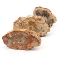 Natural Raw Xylopal Big Size Woodstone Wood fossil Stone