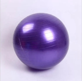Fitness Equipment Anti Burst No Slip Yoga Balance Ball Exercise Pilates Yoga Ball with Quick Foot Pump 55cm