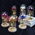 Valentines Day LED Light Glass Dome Gift Box with Eternal Life Rose Flower for Mother's Day Anniversary Decorative Plants