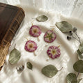 Charm Resin Jewelry Beautiful Gold Stainless Steel Natural Pressed Flower Pearl Rose Pendant Handmade Earrings