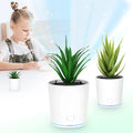 Smart Mini Portable Car Household Office Desktop Interchangeable Plant Air Purifier