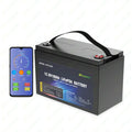 Powerbank Portable Lifo4 1280wh 12v 100ah 12 Volt 100 Amp Hour Lifepo4 Battery Pack for Solar Rv Camper Marine