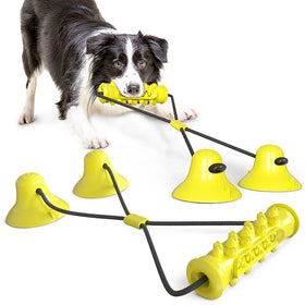 Wholesale Pet Products Popular Powerful Sucker Dog Toys Pet Chewing Toys