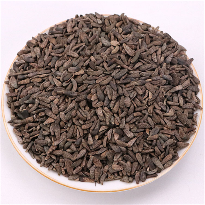 Niu Pang Zi Wholesale Natural Herb Burdock Seeds Arctium Lappa L Semen for Sale