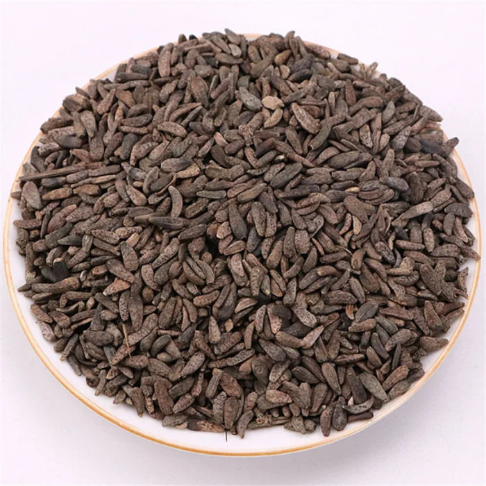 Niu Pang Zi Wholesale Natural Herb Burdock Seeds Arctium Lappa L Semen for Sale