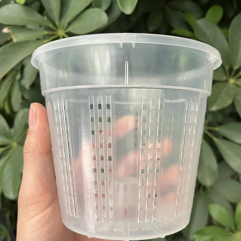 Transparent Flower Planter Outdoor Orchid Pots Indoor Plastic Clear Plant Pot with Air Hole